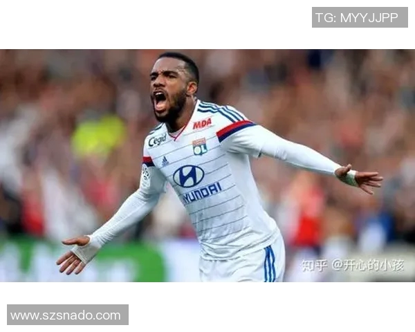 足球明星波尔多的传奇之路与辉煌成就全解析