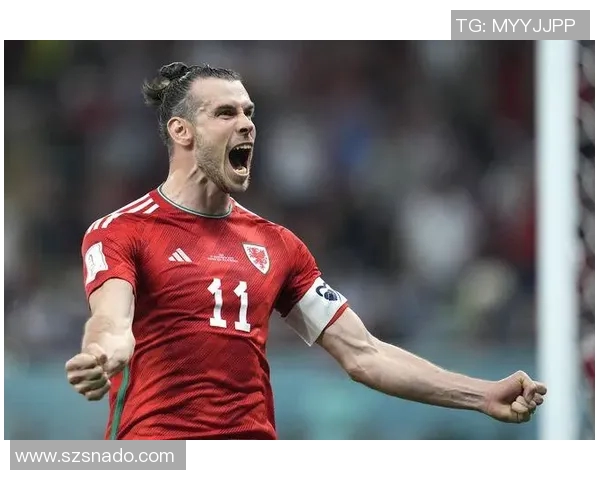 贝尔足球明星的国家背景及其对足球界的影响分析